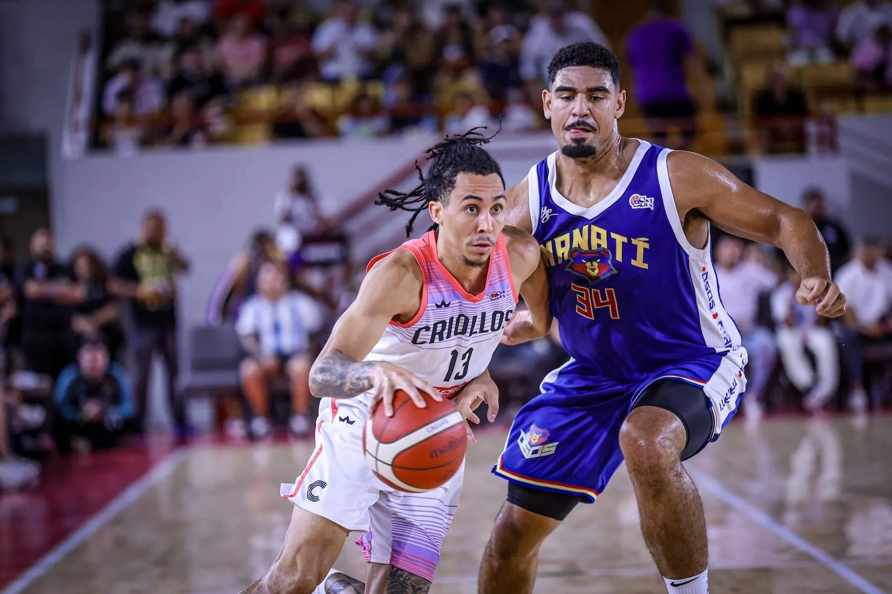 El camino de la improbable final del BSN entre los Osos de Manatí y los Criollos de Caguas